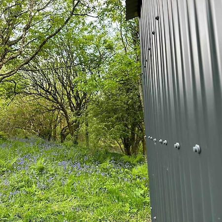 Cornwall Woodland Shepherd'S Hut - Dennis Hut Bodmin Exteriör bild