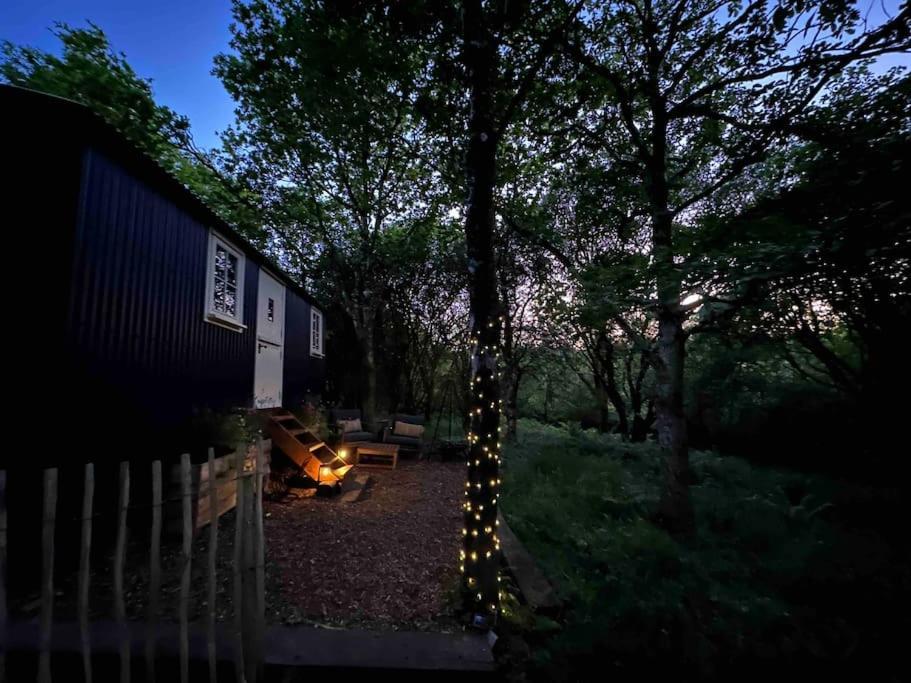Cornwall Woodland Shepherd'S Hut - Dennis Hut Bodmin Exteriör bild