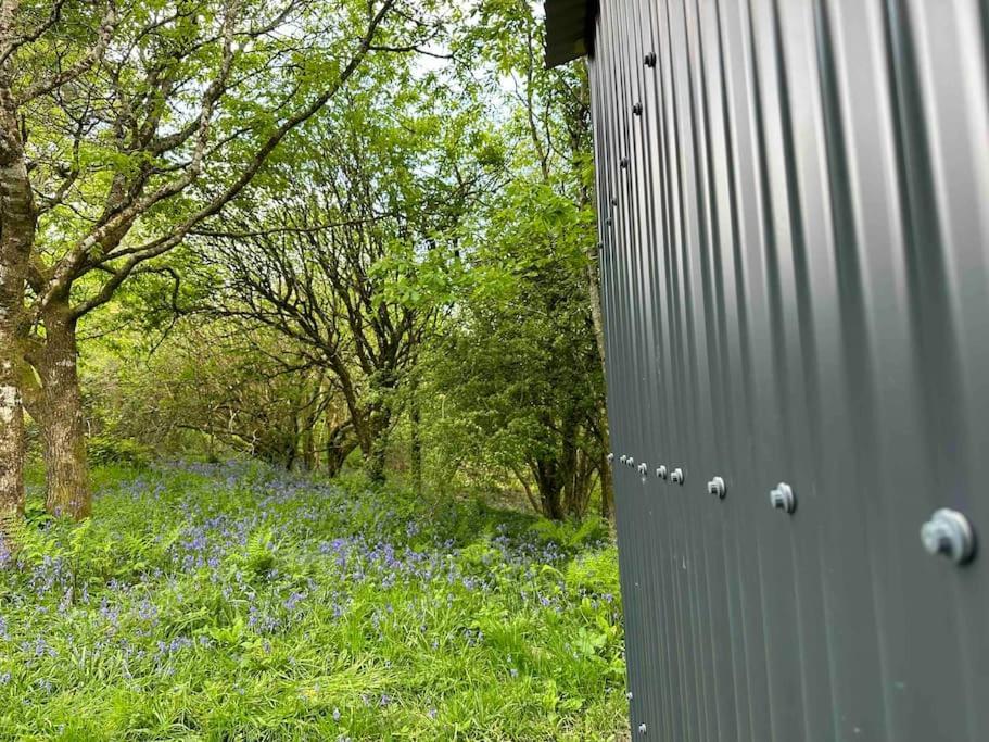 Cornwall Woodland Shepherd'S Hut - Dennis Hut Bodmin Exteriör bild