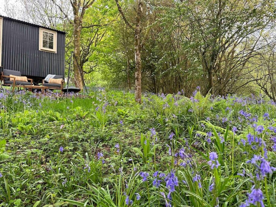 Cornwall Woodland Shepherd'S Hut - Dennis Hut Bodmin Exteriör bild
