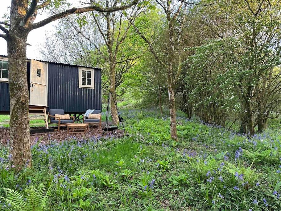 Cornwall Woodland Shepherd'S Hut - Dennis Hut Bodmin Exteriör bild