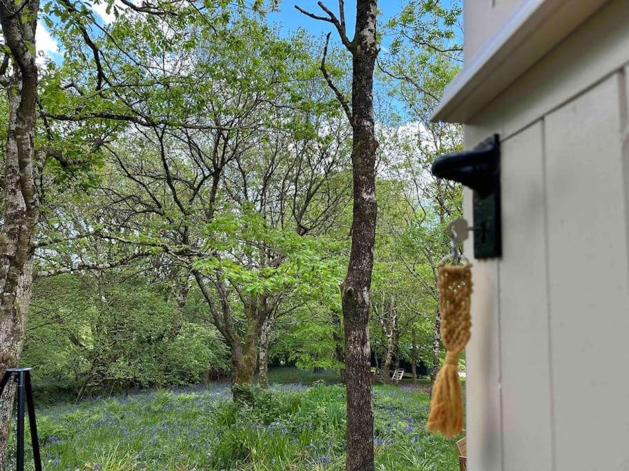 Cornwall Woodland Shepherd'S Hut - Dennis Hut Bodmin Exteriör bild