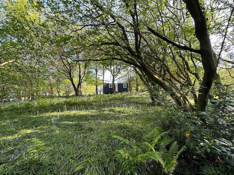 Cornwall Woodland Shepherd'S Hut - Dennis Hut Bodmin Exteriör bild
